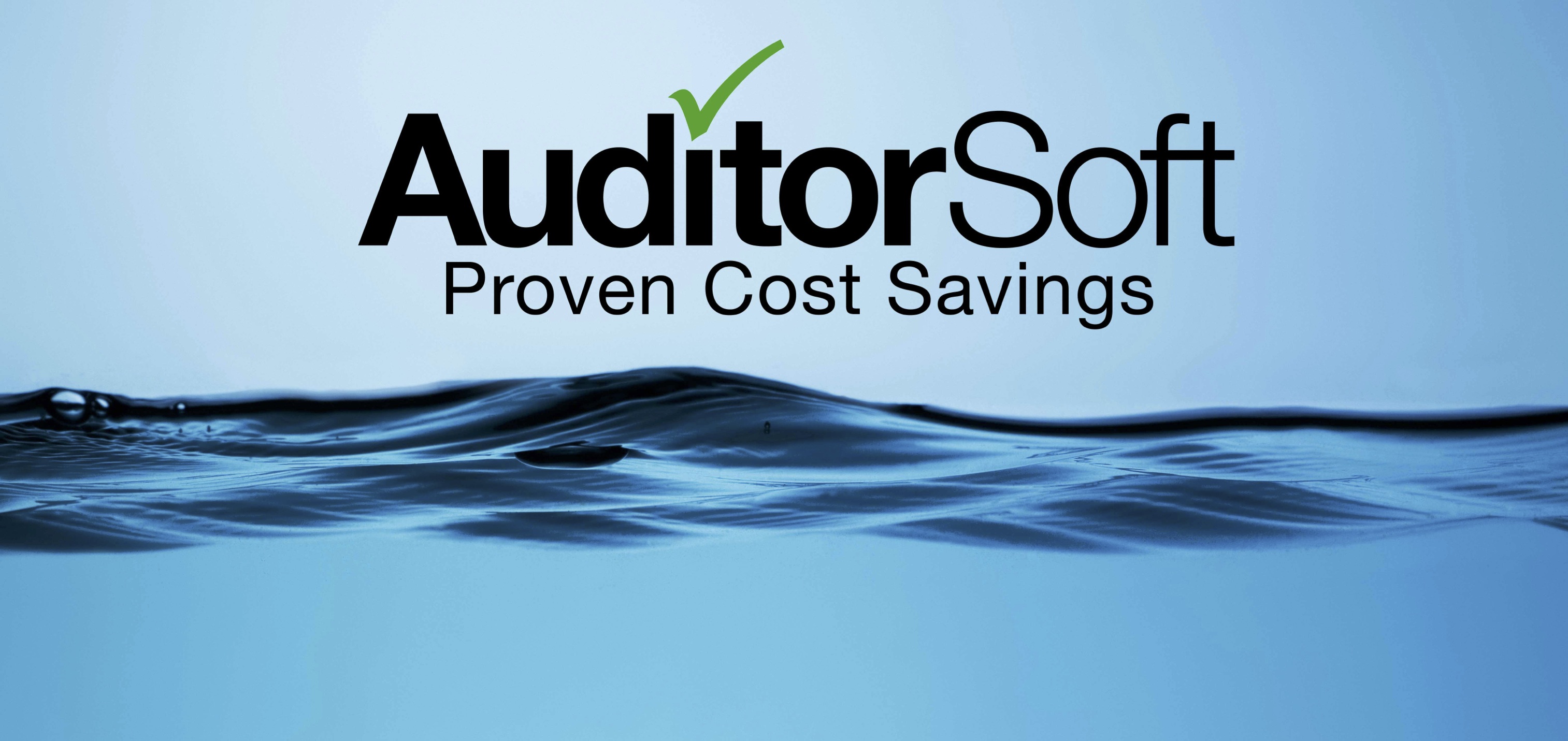 AuditorSoft-proven-cost-savings